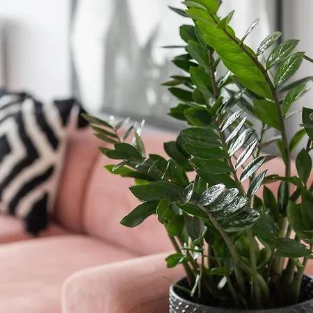 Stylish Przedpole With Balcony & Parking By Renters * 바르샤바