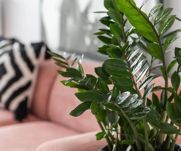 Stylish Przedpole With Balcony & Parking By Renters * Varsóvia